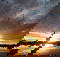 Old Lodge Gallery Emporium and River Cafe - Hotels Melbourne