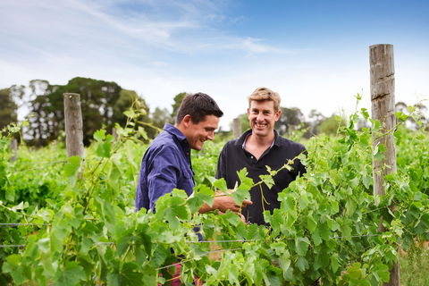 Shadowfax Winery - Hotels Melbourne 1