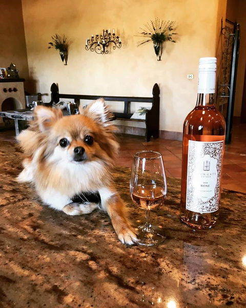 Iron Gate Estate - Hotels Melbourne 1