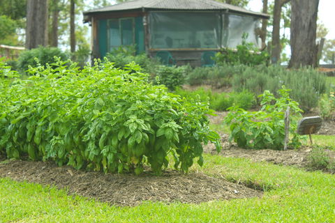 Hillview Herb Farm - Hotels Melbourne 2