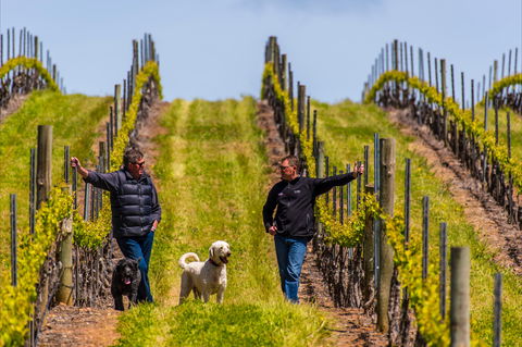 Tim Adams Wines - Hotels Melbourne 2