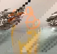 Where Ya Bean - Hotels Melbourne