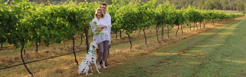 Greenway Wines - Hotels Melbourne 1