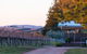 Rowlee Wines - thumb 0