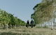 Rowlee Wines - thumb 1