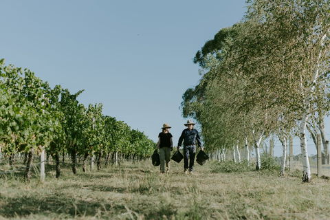 Rowlee Wines - Hotels Melbourne 1