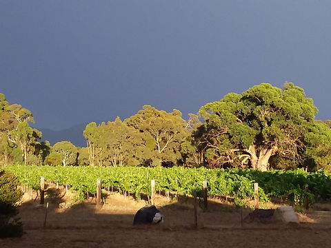Clayfield Wines - Hotels Melbourne 2