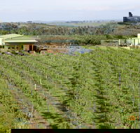 Dindima Wines - Hotels Melbourne