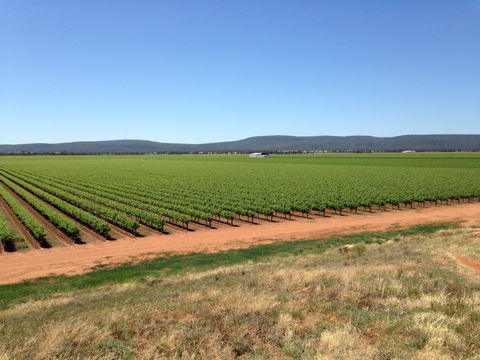 Melange Wines - Hotels Melbourne 0