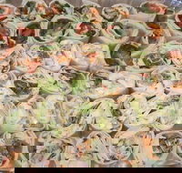 Maffra's Cafe - Hotels Melbourne