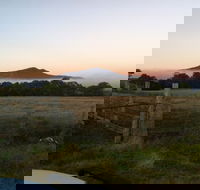 Mountainside Wines - Hotels Melbourne
