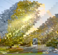 Brown Brothers Milawa Vineyard