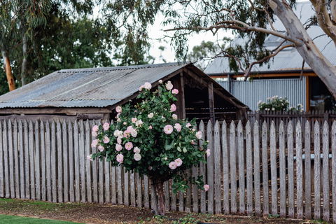 Penny's Hill Winery - Hotels Melbourne 2