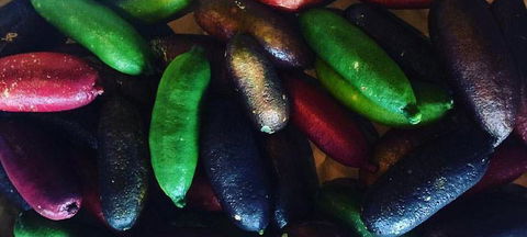 Harvest - Hotels Melbourne 3