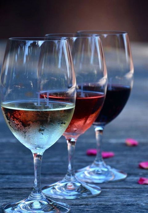 Vines Restaurant At Hollydene Estate - Hotels Melbourne 8