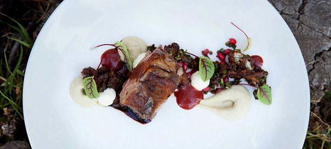 MIKA Airlie Beach - Hotels Melbourne 14