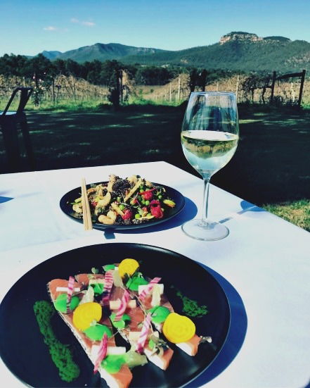 Mount Broke Wines Restaurant - Hotels Melbourne 2