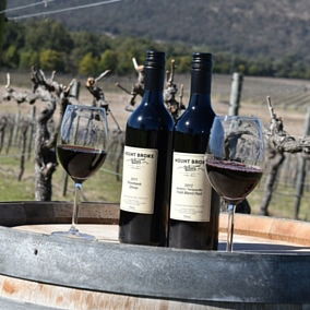 Mount Broke Wines Restaurant - Hotels Melbourne 5