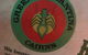 Green Ant Mexican Cantina - thumb 3