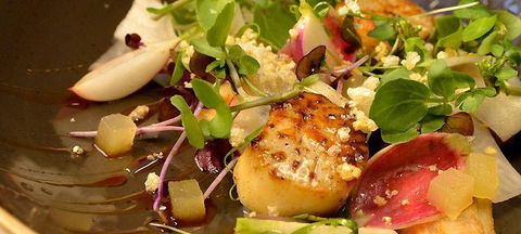 Mr. Tod Cafe - Hotels Melbourne 2