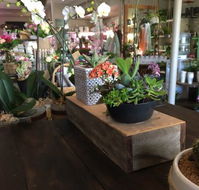 Manic Botanic Cafe - Hotels Melbourne