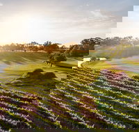 Sandalford Restaurant - Hotels Melbourne