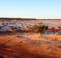 Mozie's Truckstop  Diner