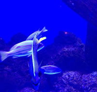 AquaLuna - Hotels Melbourne