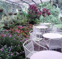 The Cafe Bellenden Ker - Hotels Melbourne