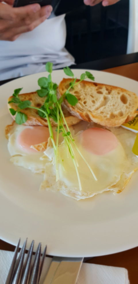 Migaloo's Cafe - Hotels Melbourne 5