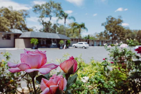 Artesian Spa Motor Inn - Hotels Melbourne 2