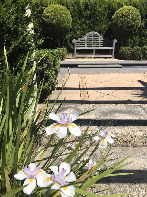 S T U D I O 22 Peaceful Retreat With Garden Views - Hotels Melbourne 13