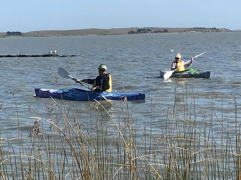 Hydeaway Bay - Own Private Bay + Kayaks - Hotels Melbourne 30