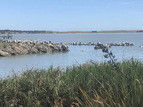 Hydeaway Bay - Own Private Bay + Kayaks - Hotels Melbourne 34