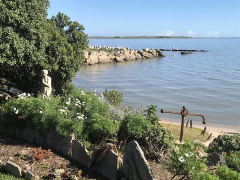 Hydeaway Bay - Own Private Bay + Kayaks - Hotels Melbourne 26