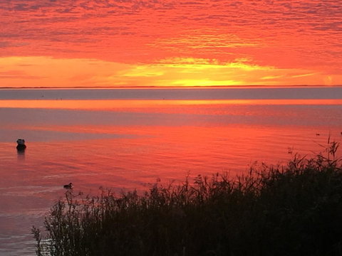 Hydeaway Bay - Own Private Bay + Kayaks - Hotels Melbourne 37