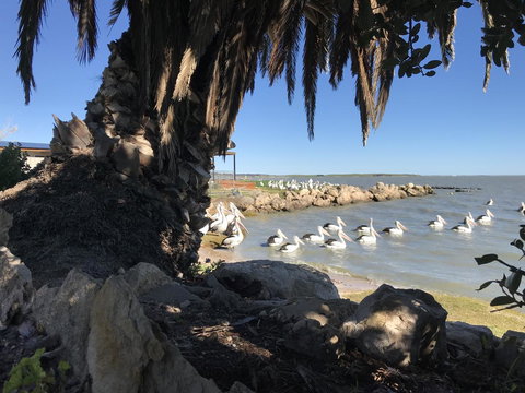 Hydeaway Bay - Own Private Bay + Kayaks - Hotels Melbourne 17