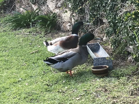 Hydeaway Bay - Own Private Bay + Kayaks - Hotels Melbourne 19