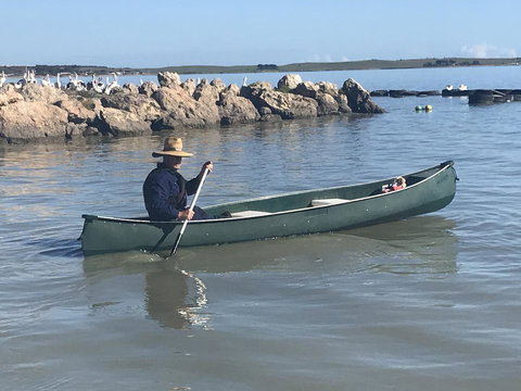 Hydeaway Bay - Own Private Bay + Kayaks - Hotels Melbourne 32