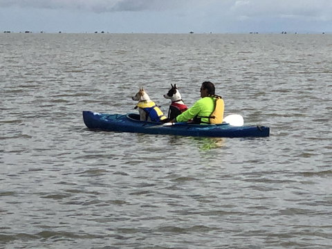 Hydeaway Bay - Own Private Bay + Kayaks - Hotels Melbourne 31