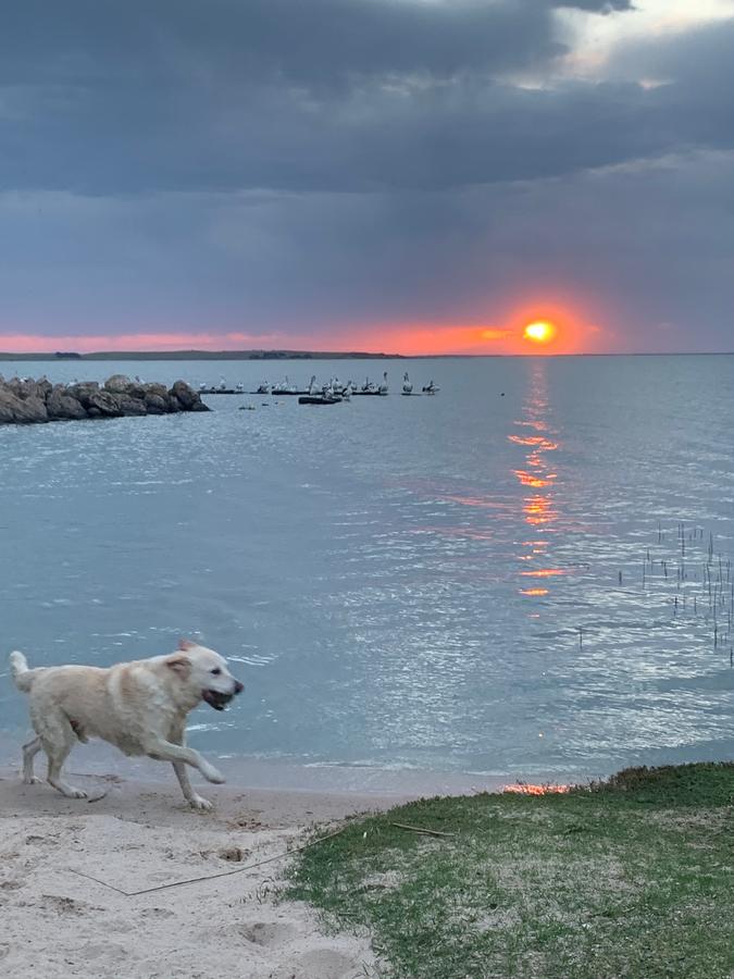 Policemans Point SA Hotels Melbourne