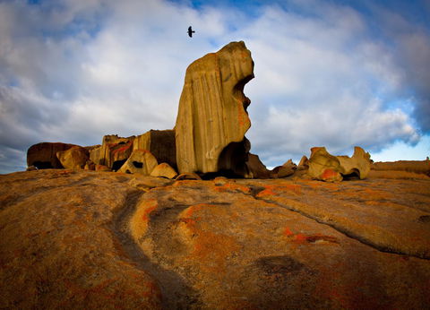 Penneshaw Oceanview Apartments - Hotels Melbourne 23