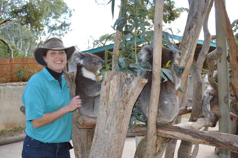 Lazy Days Cottage - Victor Harbor - Hotels Melbourne 1