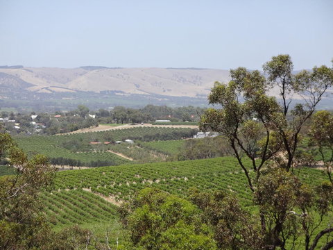 Elandra Holiday Home - Hotels Melbourne 18