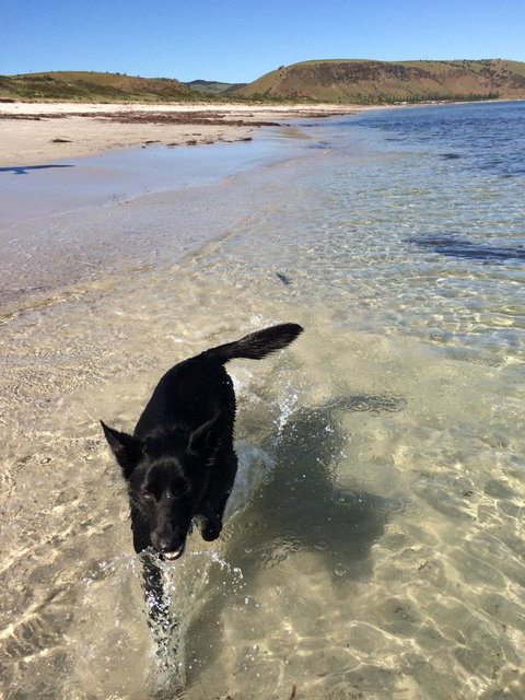 Beachside Holiday Park - Hotels Melbourne 17