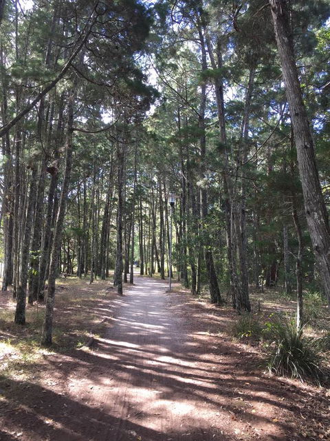 Brunswick Heads Treetop Studio - Hotels Melbourne 8