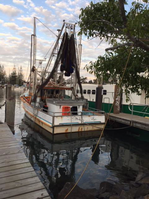 Brunswick Heads Treetop Studio - Hotels Melbourne 25