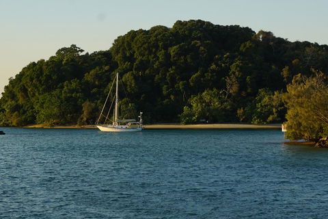 Brunswick Heads Treetop Studio - Hotels Melbourne 9