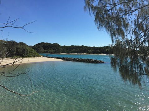 Brunswick Heads Treetop Studio - Hotels Melbourne 22