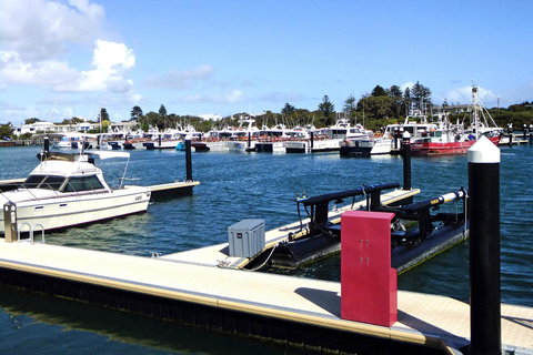 Robetown Motor Inn & Apartments - Hotels Melbourne 9